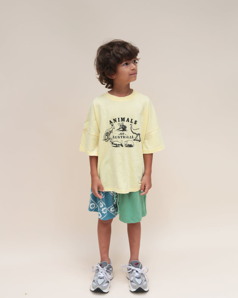 OVERSIZED TEE - ANIMALS OF AUSTRALIA